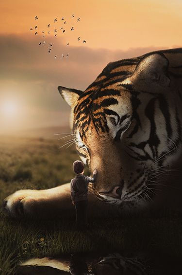 tijger